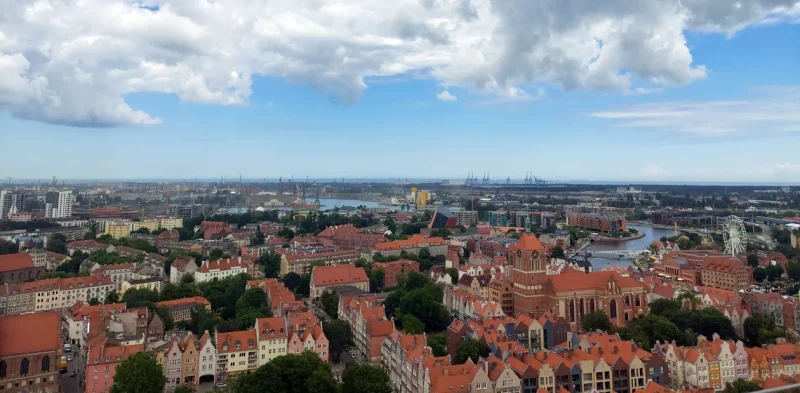 miasto